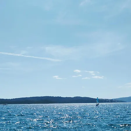 Violeta - - 50 M From The *