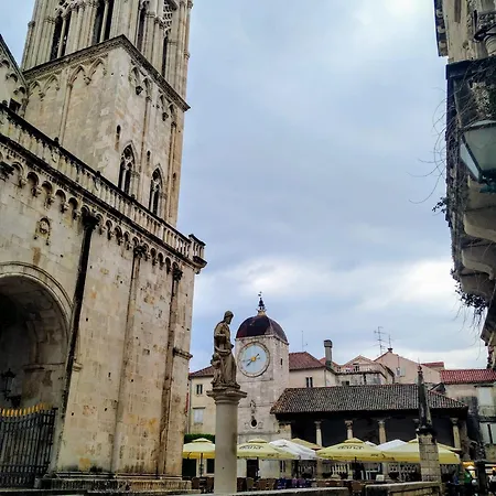 Violeta - - 50 M From The Trogir